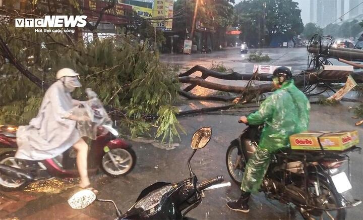 Mức độ nguy hiểm của bão số 3 Wipha khi duy trì gió mạnh cấp 10-11