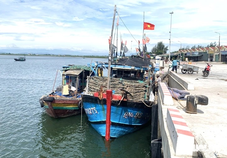 Hai thuyền trưởng tàu cá ở Quảng Ngãi bị phạt hành chính 125 triệu đồng
