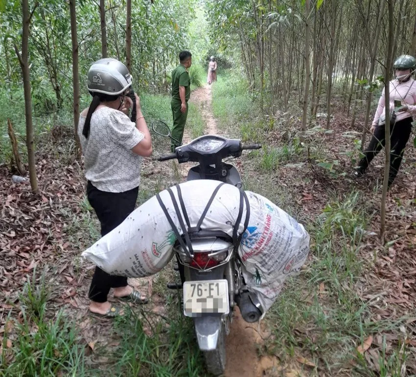 1 phụ nữ ở Quảng Ngãi bị phạt 5 triệu đồng vì vứt heo chết ra rẫy keo