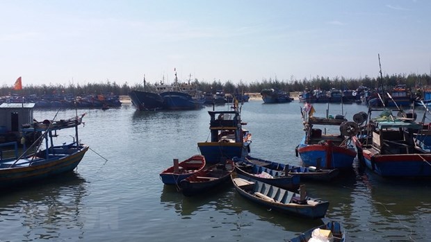Quảng Ngãi: Nạo vét, chống bồi lấp luồng tàu ra vào cảng Sa Huỳnh