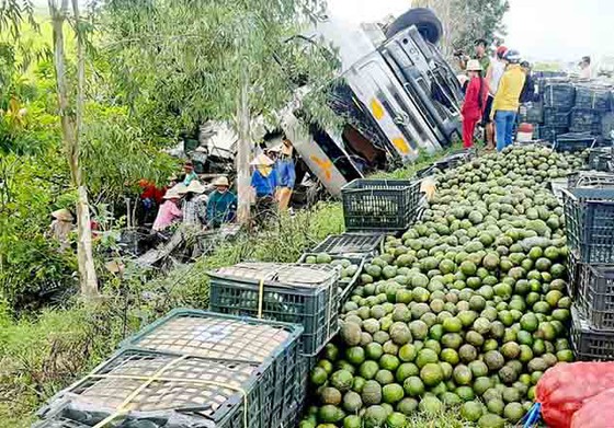 Người dân thu gom trái cây giúp tài xế khi xe tải bị lật ở quốc lộ
