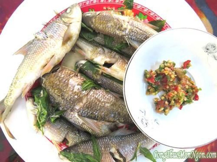 Sự thật thú vị về cá niên đặc sản Quảng Ngãi