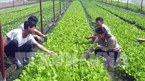 Phát triển nông nghiệp 4.0: Lựa chọn công nghệ cho phù hợp