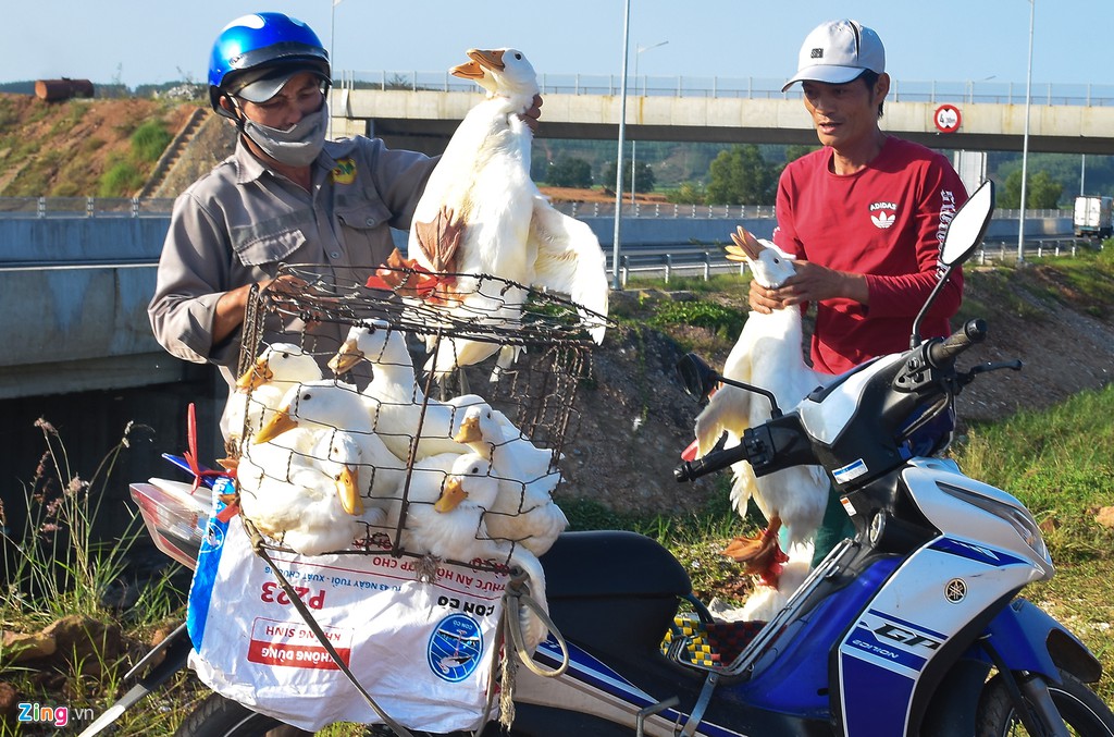 Vì sao vòng xoay Dung Quất chưa nối vào cao tốc 34.500 tỷ?