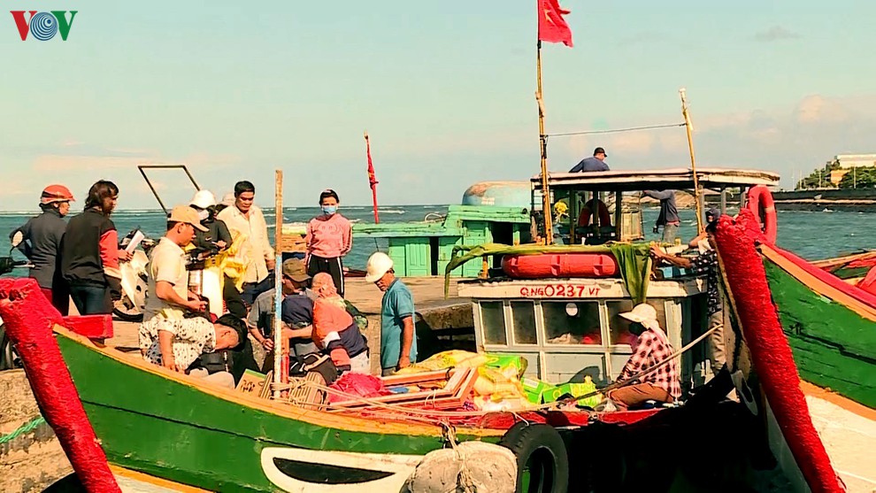 Đảo Bé- Lý Sơn bị cô lập, cấp gạo khẩn cứu đói cho dân
