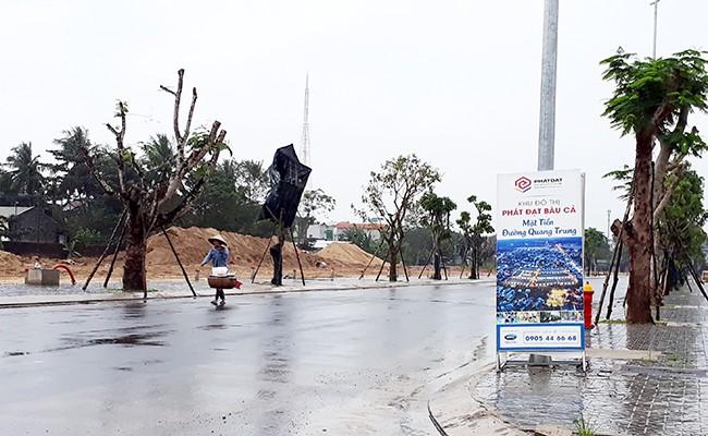 Quảng Ngãi lại tính thu nhiều hecta đất lúa cho doanh nghiệp làm bất động sản