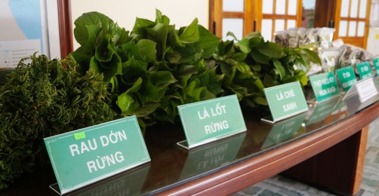 Big C/GO! hợp tác liên kết tiêu thụ nông sản Sơn Hà