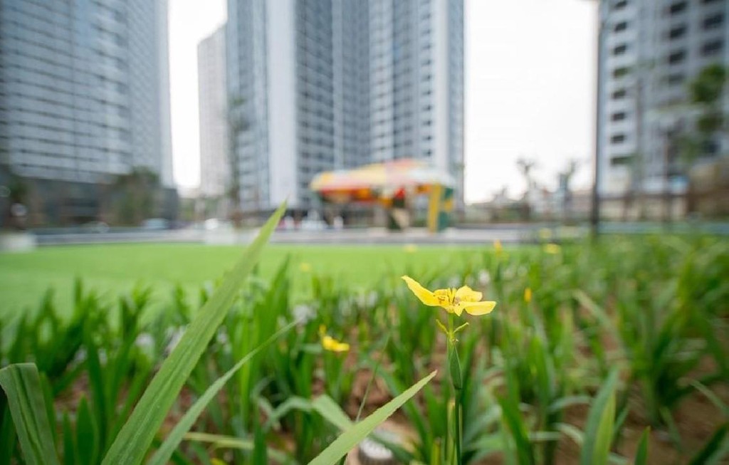 Bất động sản Tiến Đạt đề xuất đầu tư Khu đô thị Sky Park City hơn 9,48 ha