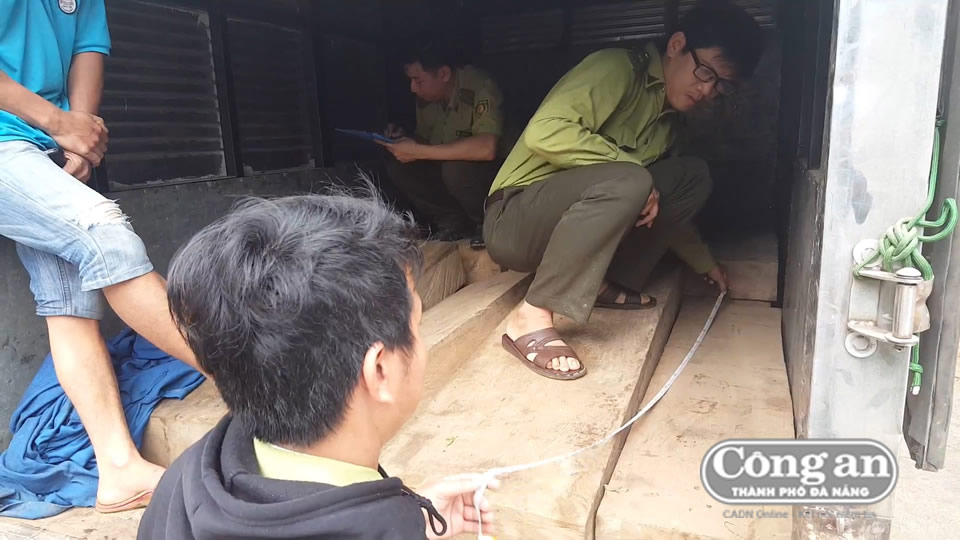 Truy bắt xe chở "gỗ lậu"