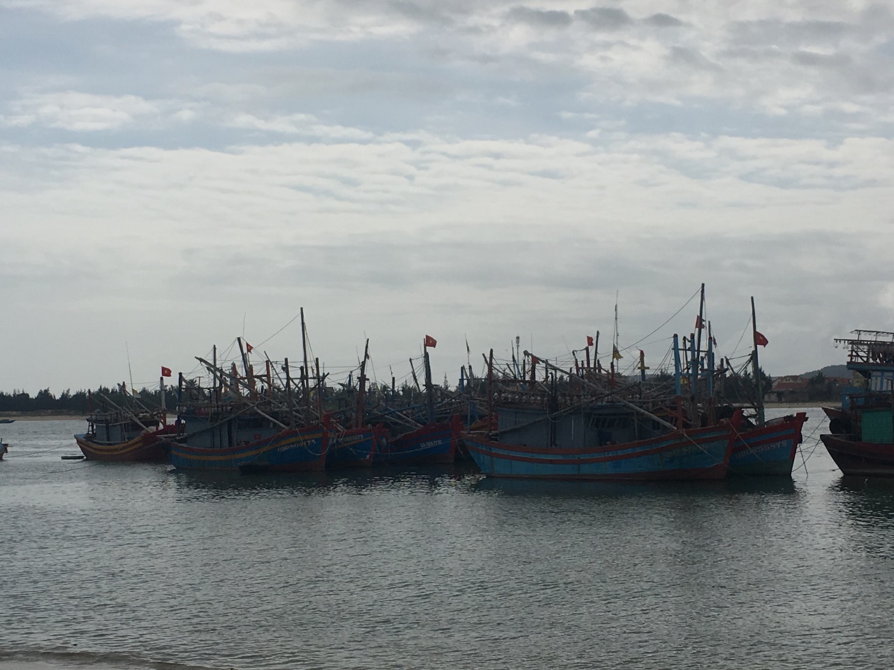 Một ngư dân tử vong, bảy người nhập viện sau khi ăn ốc biển
