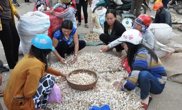 BỘ CÔNG AN ĐÃ NHẬN VĂN BẢN ĐỀ NGHỊ XÁC MINH VỤ LƯƠNG HOÀNG ANH TUNG TIN THẤT THIỆT VỀ TỎI LÝ SƠN
