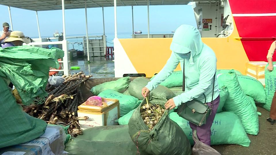 QUẢNG NGÃI:THU GIỮ GẦN 1 TẤN TỎI CỦ KHÔNG RÕ NGUỒN GỐC RA ĐẢO LÝ SƠN
