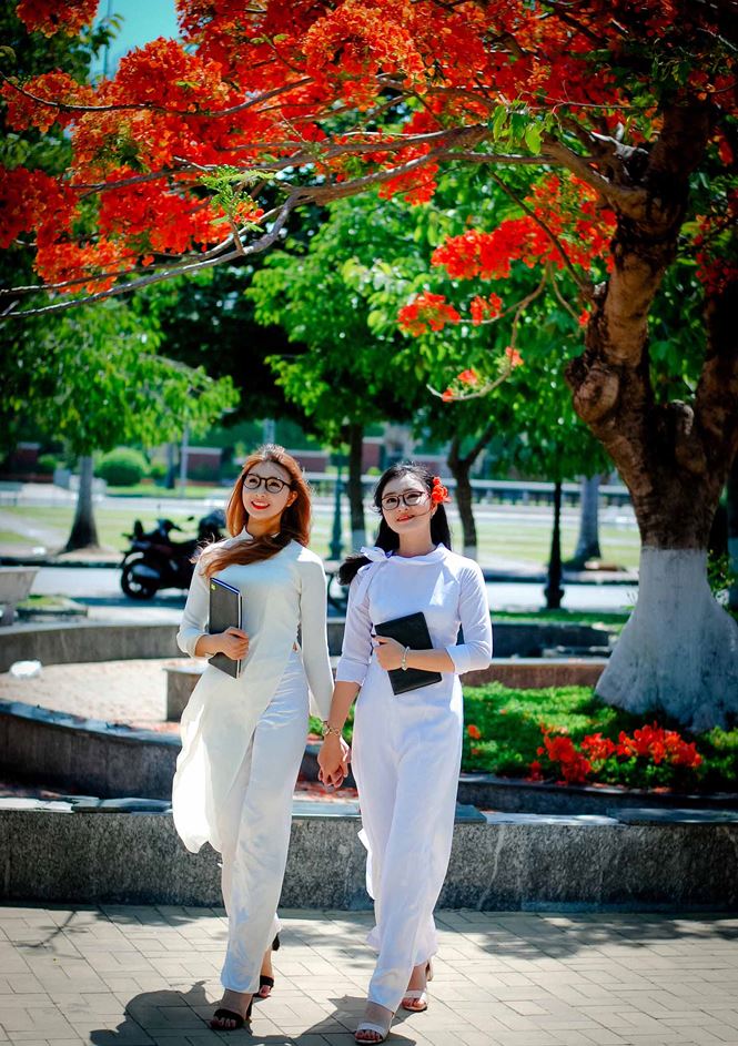 Nữ sinh Quảng Ngãi tỏa nắng bên khung trời phượng thắm