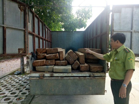 Chở gỗ lậu, tài xế để lại xe bỏ trốn