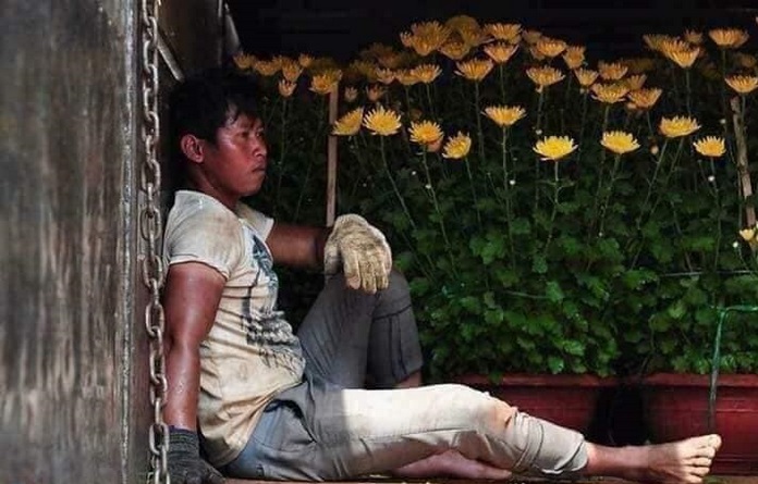 Xin đừng đợi đến đêm 30 mới mua Hoa Tết !?