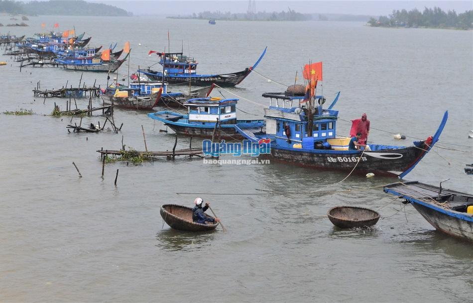 Bình Sơn: Một người mất tích trên sông Trà Bồng