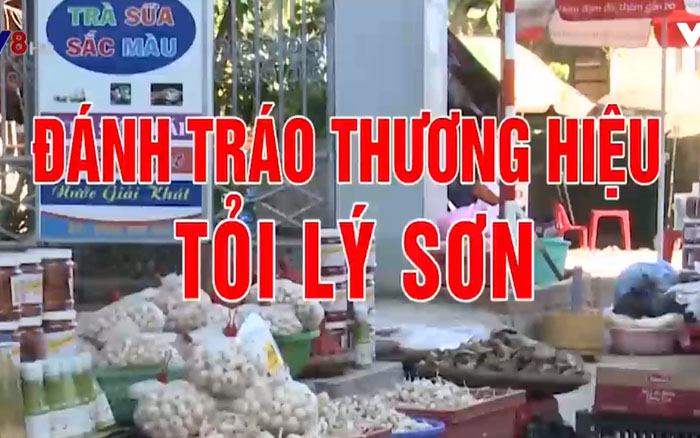 Đưa tỏi ra đảo Lý Sơn - Hành vi đánh tráo thương hiệu