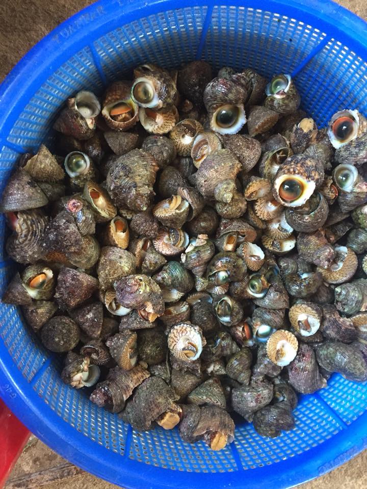 Chỉ có ở Lý Sơn