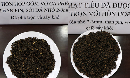 Phế phẩm cà phê nhuộm bột pin được trộn vào hồ tiêu