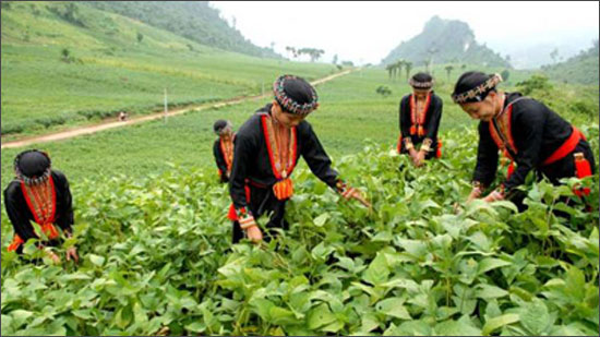 Hơn 2.664,3 tỷ đồng từ ngân sách địa phương để thực hiện chương trình giảm nghèo