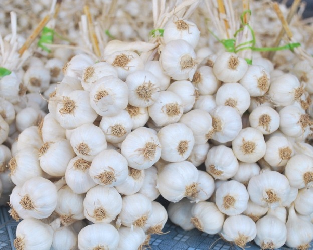 Quảng Ngãi có 2 sản phẩm đạt OCOP 5 sao
