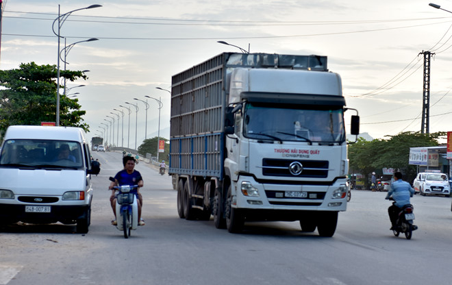 Đề xuất kiểm tra ma túy tài xế chở dăm gỗ về cảng Dung Quất