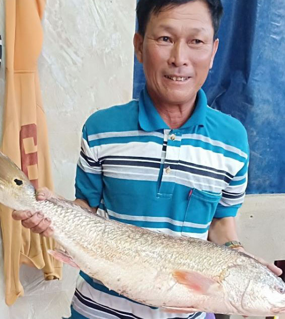 Ngư dân Bình Sơn "săn" được cá sủ vàng quý hiếm