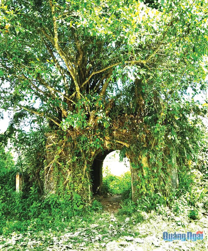 Căn cứ Truyền Tung-Đình Thọ An: Dấu xưa còn mãi