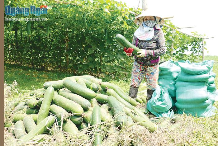 Đề án "Mỗi xã một sản phẩm": Nhiều nỗi lo