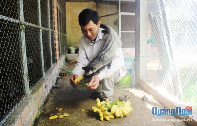Quảng Ngãi: Ham nuôi loài nhìn ghê, bán giống 5-7 triệu/con