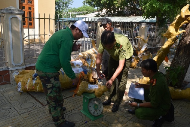 Xe bưu phẩm chở gỗ trái phép trên cao tốc Đà Nẵng – Quảng Ngãi
