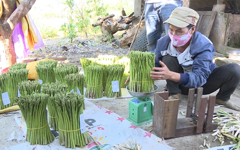 Quảng Ngãi thu hút đầu tư về nông thôn
