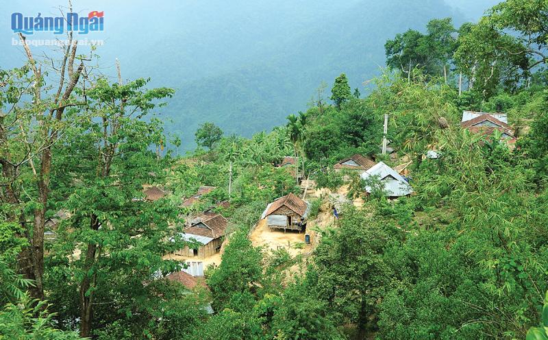 Xanh thẳm Trà Ôi...