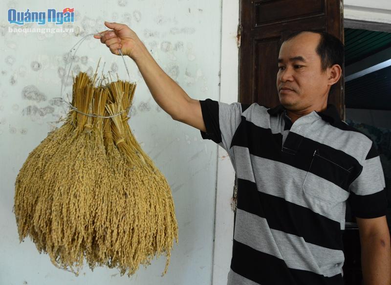 Khôi phục đặc sản rượu nếp Cút "Hạ thổ bách nhựt"